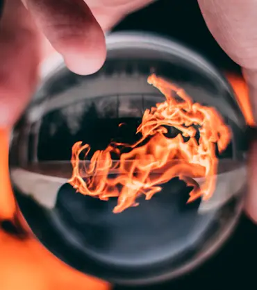 Surviving the Future: The Deeper Dive 2025